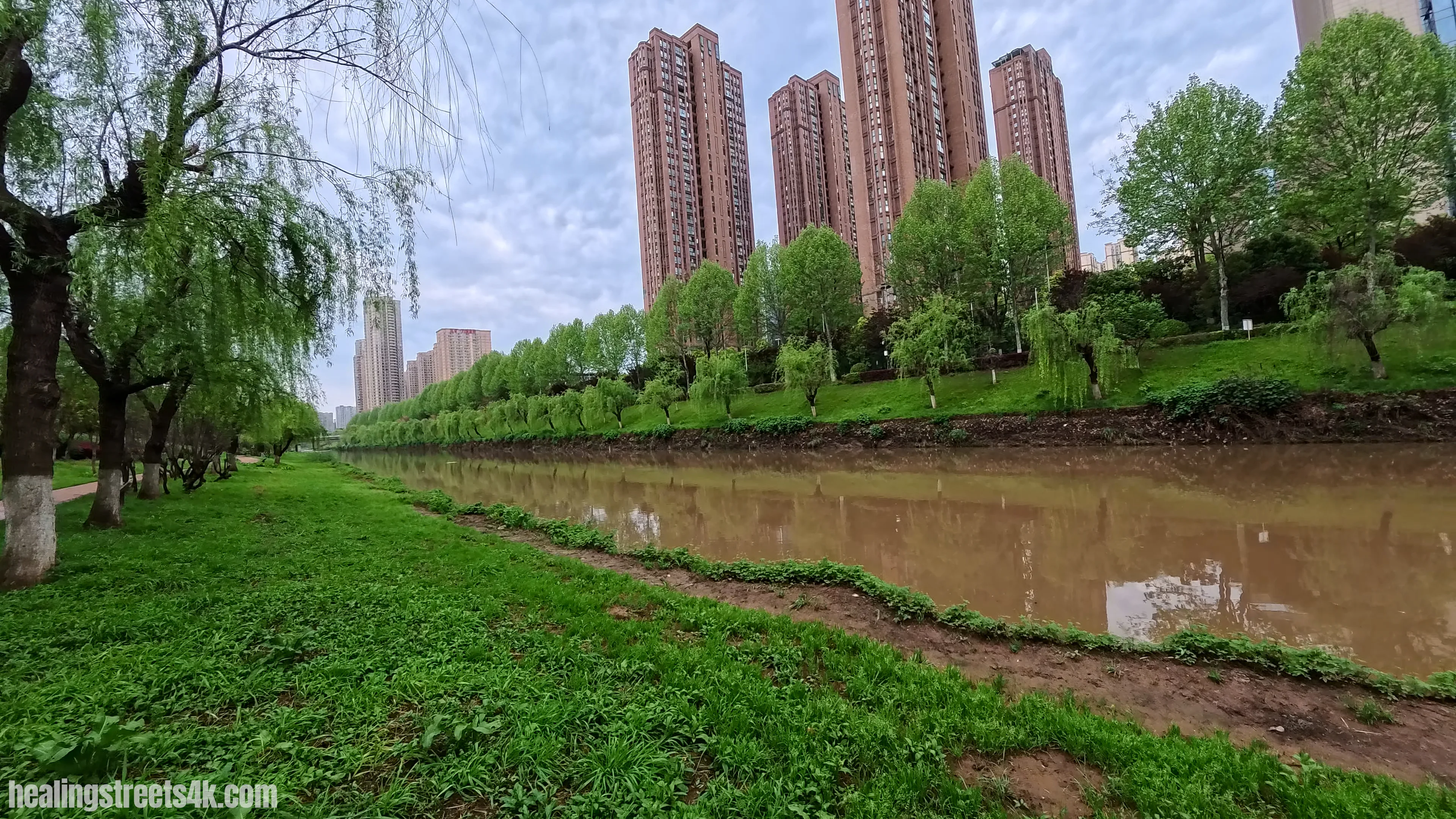 Calm rainy day walking scene