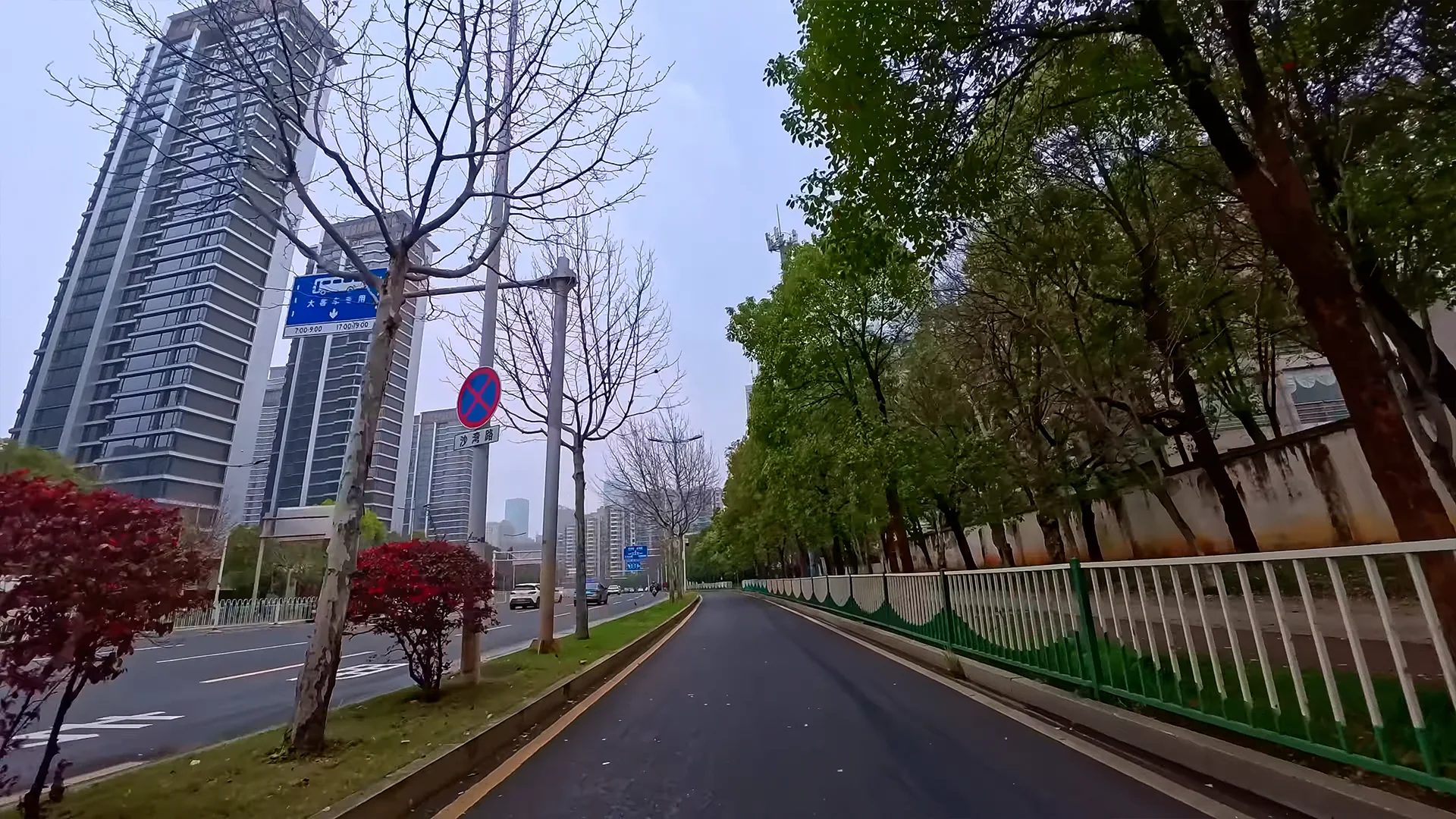 Changsha tree-lined bike lane electric scooter POV ride in overcast weather with calm urban atmosphere