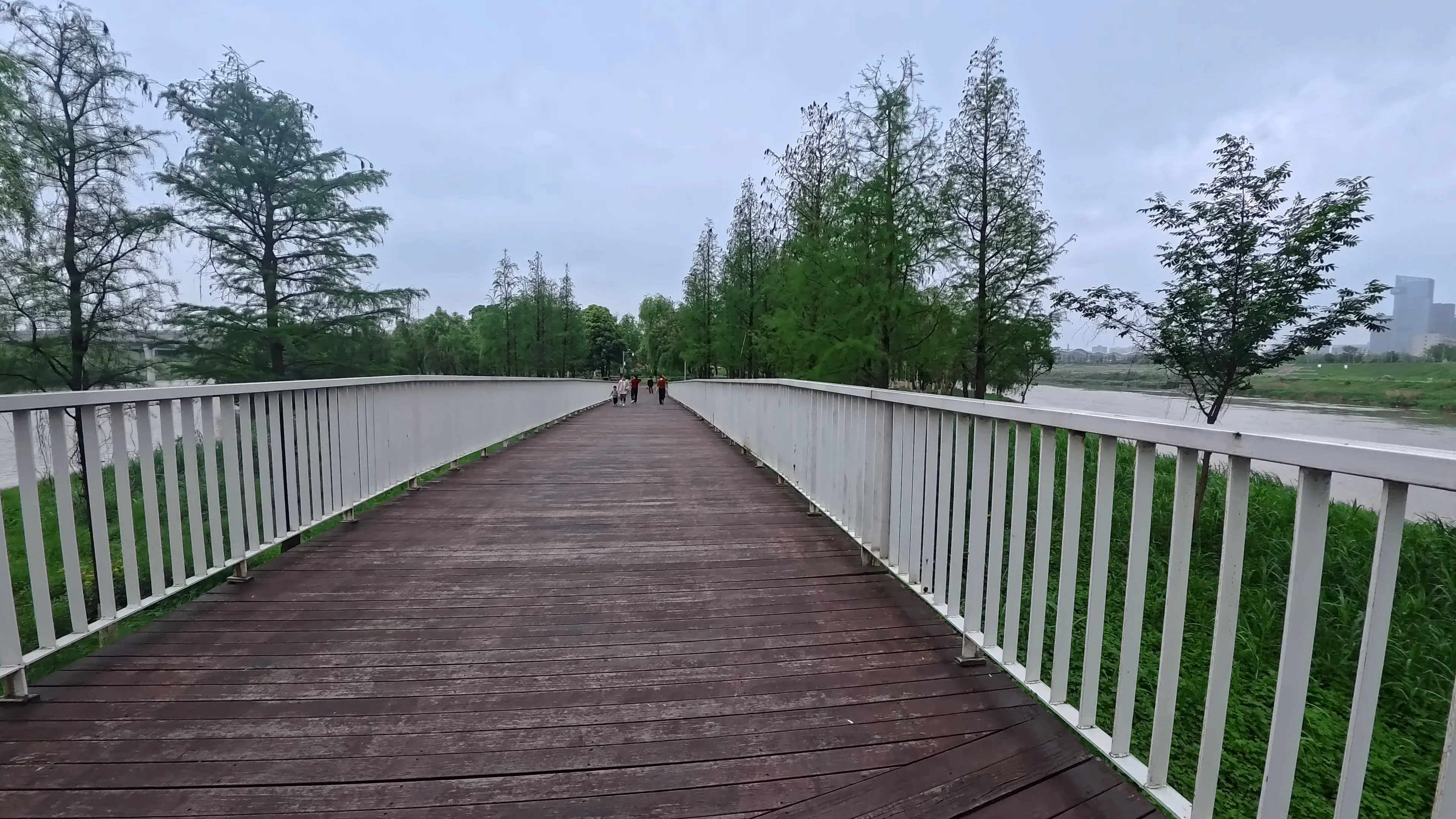 White pedestrian bridge rising above the shoreline